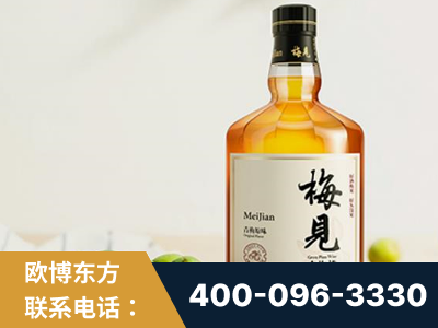 宁波-梅见青梅酒
